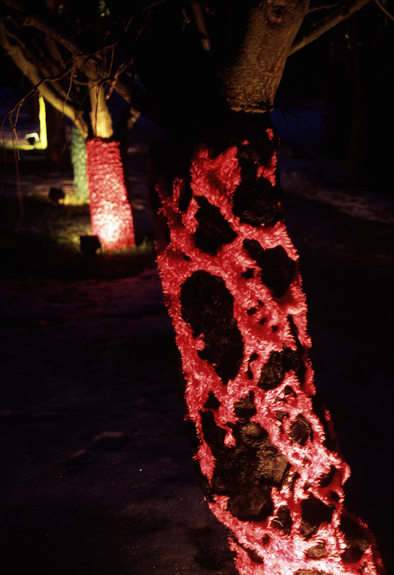 Textil utomhusinstallation i vintermörk park 